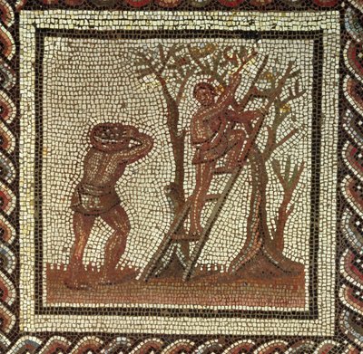 Fruit plukken, Romeins mozaïek uit Saint-Romain-en-Gal, Frankrijk, AD 200-225 door Roman